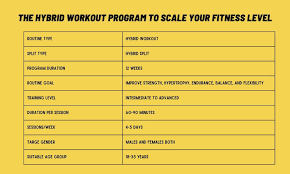 6 week hybrid workout program with pdf