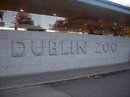 to dublin zoo by bus or light rail