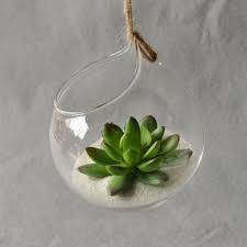 hanging glass vase hanging