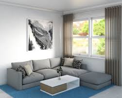 what color rug goes with a gray couch
