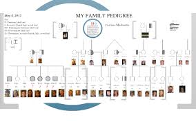 Family Pedigree Chart Corinne Mackenzie By Corinne