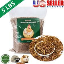 Non Gmo Dried Mealworms Organic Meal