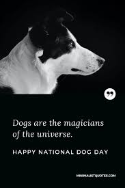 Take time to appreciate the love and value that dogs bring to our daily lives, and to do your bit for homeless and abused dogs the world over. International Dog Day Quotes Wishes Messages