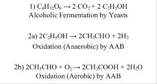 Chemical Equations For 2 Step