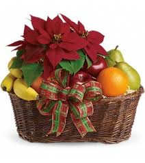 fruit and poinsettia basket send to