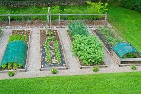 How To Plan A Vegetable Garden 10