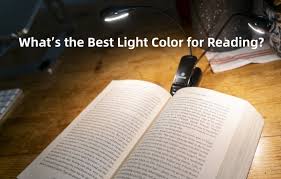 what s the best light color for reading