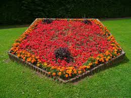 flowerbed wiktionary
