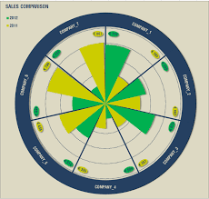 Huge Challenge 3 Infographic Chart With Excel E90e50fx