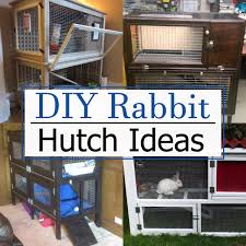 easy diy rabbit hutch ideas