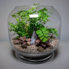 15 popular glass terrarium ideas