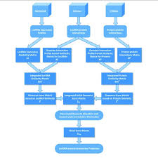 The Flowchart Of Lpi Ibnra Method Download Scientific Diagram