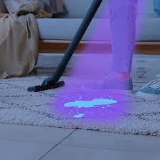 removing dog urine stains from carpets