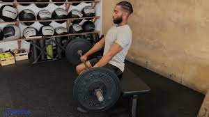 musclewiki barbell seated calf raise