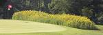 Sunflower Hills Golf Course - Home