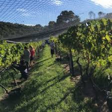 Find hotels in owhanake bay using the list and search tools below. Owhanake Owhanake Bay Estate Is A Boutique Vineyard Specialising In Waiheke Island Syrah And Produces Award Medal And Trophy Wines