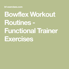 Bowflex Workout Routines Functional Trainer Exercises