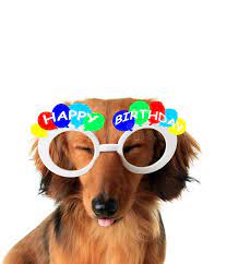 Find the perfect happy birthday puppy stock photos and editorial news pictures from getty images. 4 799 Happy Birthday Puppy Photos Free Royalty Free Stock Photos From Dreamstime