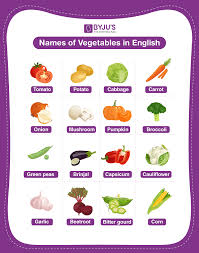 vegetable names explore the list of