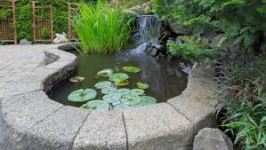 why use sump pump for garden care