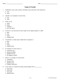 The worksheets spend a good deal of time on the fossil record over time periods and how fossils are used as a tool to understand evolution. Types Of Fossils Grade 6 Free Printable Tests And Worksheets Helpteaching Com