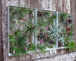 Living Wall Art Vertical Garden Frames