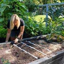 The New Vegetable Garden Plan The