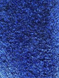 carpet royal blue
