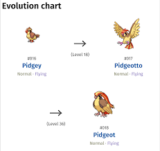 Pidgey Evolution Level Pidgey Evolution Chain Fletchling
