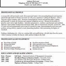 Resume Personal Profile Statement Examples Folo Us