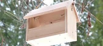 Bird Feeder Using Scrap Wood Free