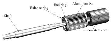 superconducting induction motor