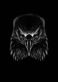 Eagle Wallpaper HD pour Android ...