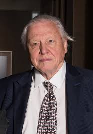 Discuss his documentaries or anything else which you may find relevant. David Attenborough Wikipedia