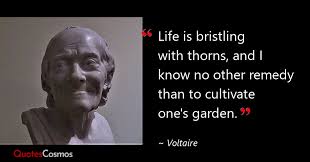 Life is bristling with thorns, and I know…” Voltaire Quote
