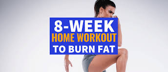 8 Week Home Workout Plan Meraadi