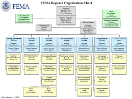 59 Symbolic Fema Org Chart