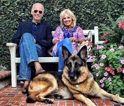 Champ moved to the white house with the bidens and their other dog, major, in january when the president took office. Another Great Thing About Biden S Win There S Going To Be A Dog In The White House Again Vogue