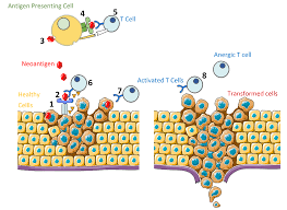 a challenge of t cancer treatment