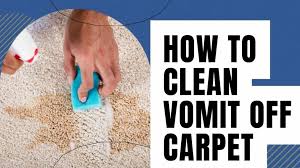 a1 carpet cleaning and pest control