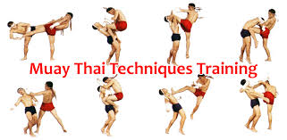 muay thai techniques training apk