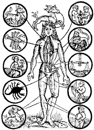 Zodiac Man Illustration From 1512 In 2019 Medical