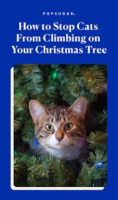 Maybe you would like to learn more about one of these? How To Stop A Cat From Climbing The Christmas Tree Popsugar Pets