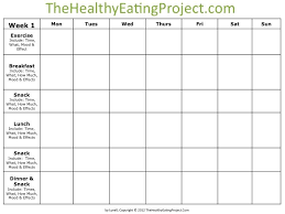 Food Diary Template 40 Simple Food Diary Templates Food