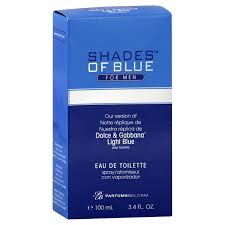 Delagar Shades Of Blue For Men Dolce Gabbana Light Blue 3 4 Oz Cologne Meijer Grocery Pharmacy Home More