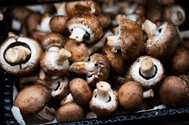 baby bella mushrooms recipes and