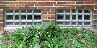 Glass Block Garage Windows