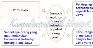We did not find results for: Kunci Jawaban Lks Bahasa Jawa Kelas 4 Halaman 23 Kunci Jawaban