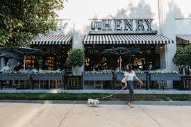 west hollywood dog friendly guide