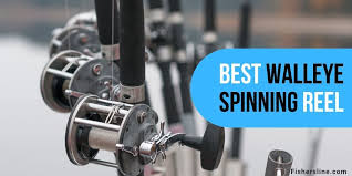 6 best walleye spinning reel best